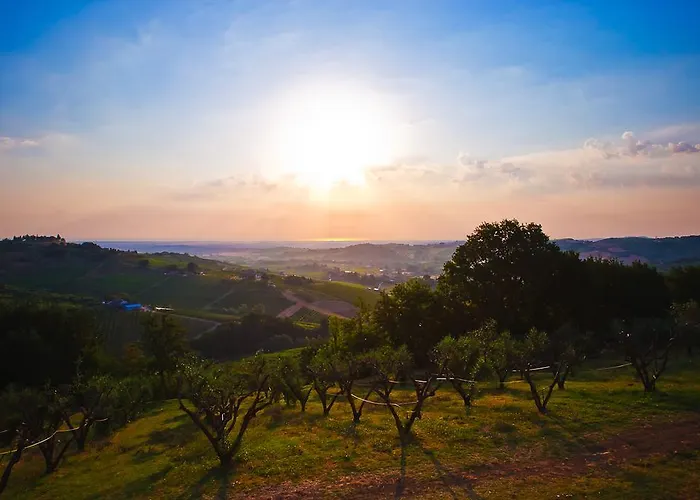 ヴィラ Le Orchidee